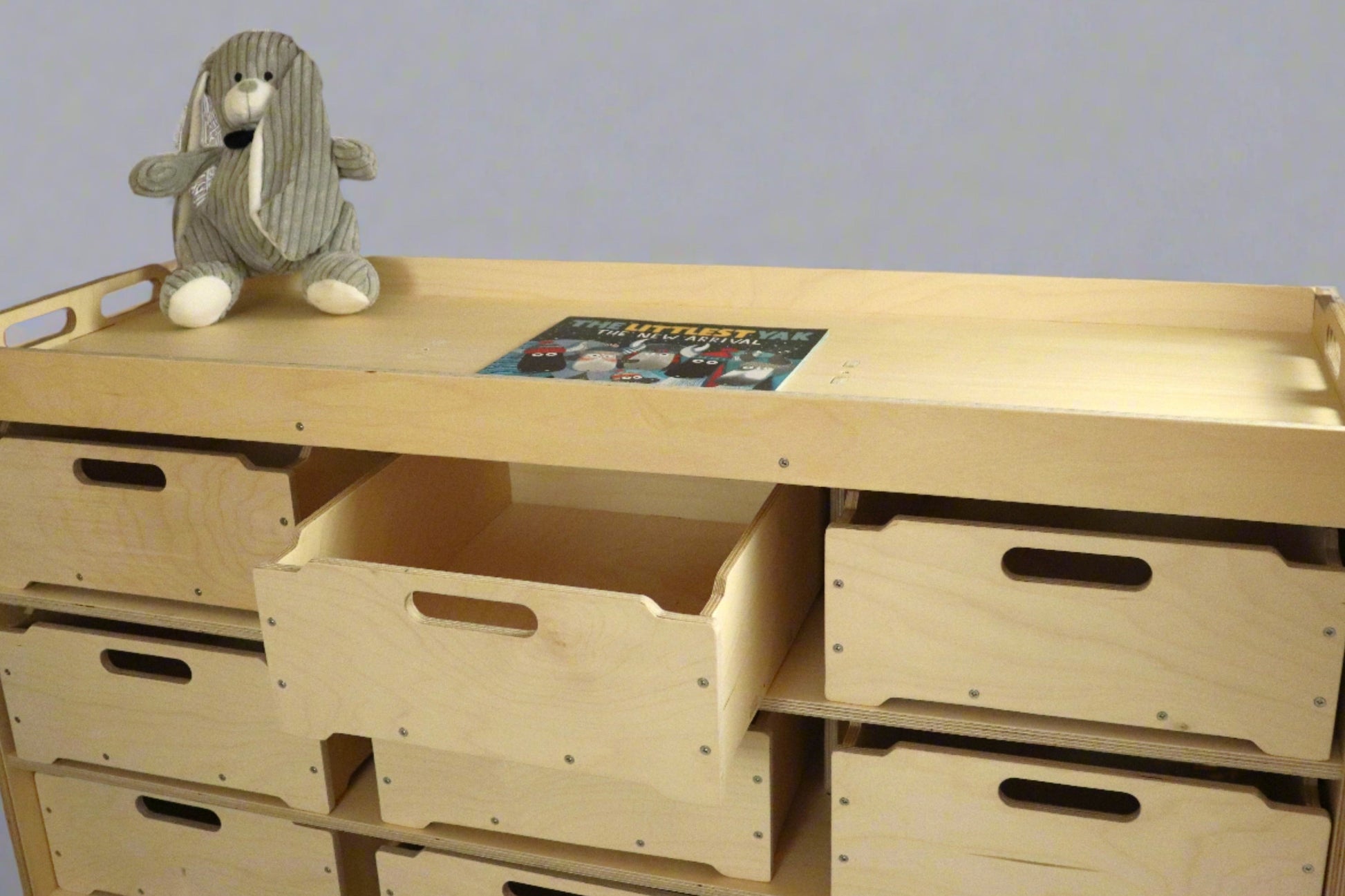 Storage Shelves with storage boxes - Taimico